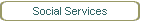 Social Services